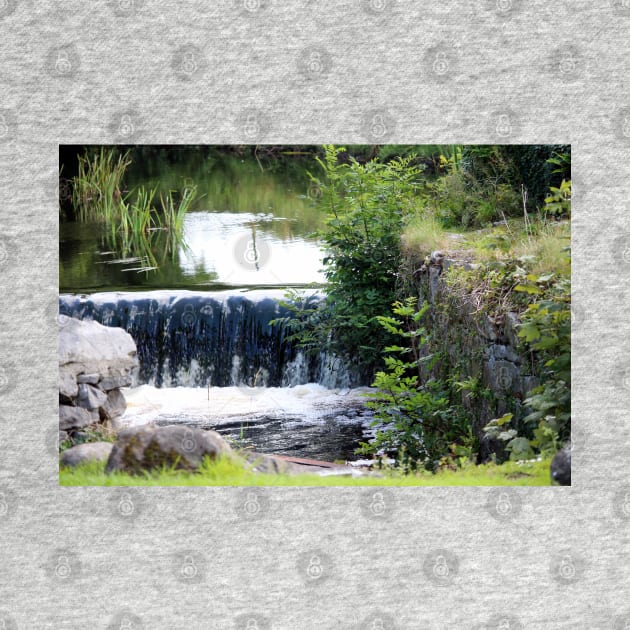 beautiful stream in Athenry, Ireland by croper